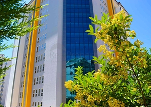 Меблированная квартира - пентхаус по доступной цене