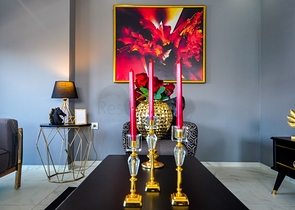 Меблированная квартира - пентхаус по доступной цене