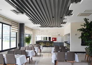 Меблированные двухкомнатные апартаменты в Авсалларе