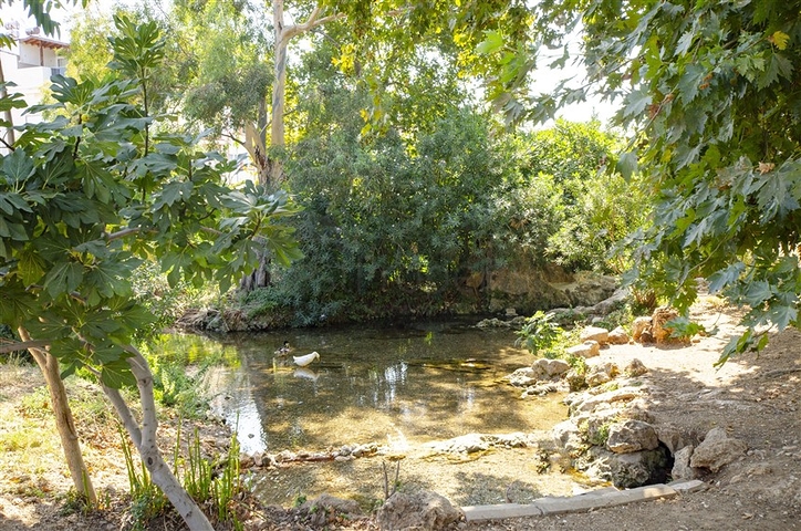 Комплекс 500 м до моря в районе Кушкаваи Коньяалты