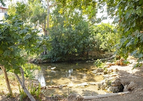 Комплекс 500 м до моря в районе Кушкаваи Коньяалты