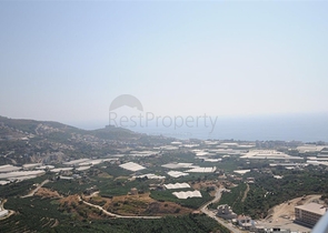 Трехкомнатные апартаменты в знаменитом комплексе