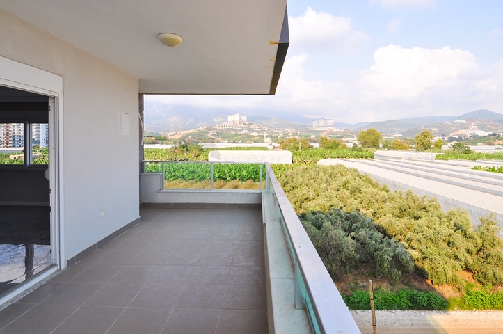 Квартира планировки 1+1 в Каргыджаке