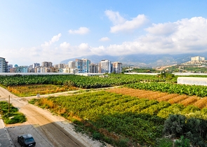 Квартира планировки 1+1 в Каргыджаке