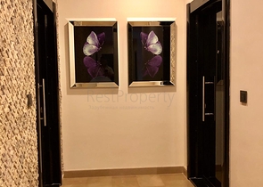 Шикарный пентхаус в Махмутларе