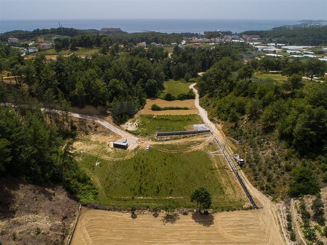 Инвестиционный проект в районе Авсаллар