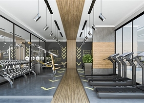 Инвестиционный проект в районе Авсаллар