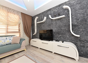 Меблированный пентхаус по привлекательной цене