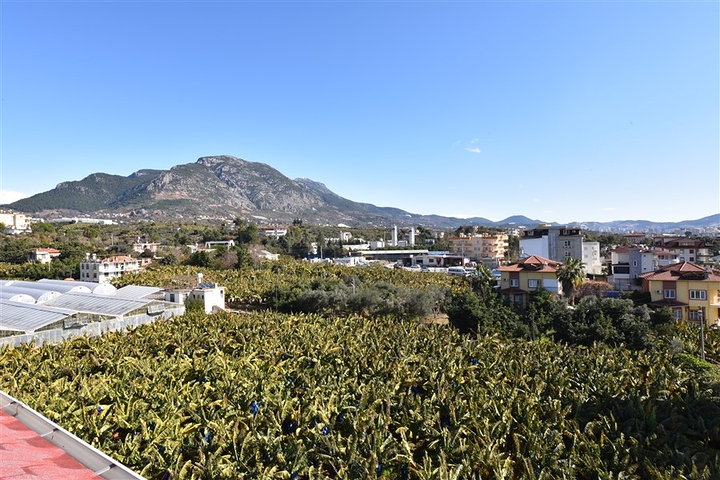 Квартиры различных планировок в районе Кестель