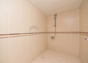 Пентхаус планировки 3+1 с видом на крепость