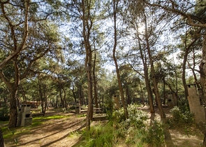 Просторная квартира 3+1 в Унжалы Коньяалты рядом с Нашира парком