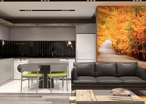 Проект на завершающей стадии строительства в районе Арапсую 