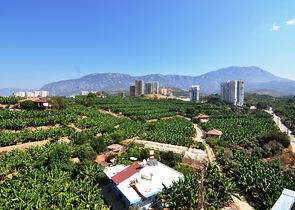 Квартира планировки 2+1 в Махмутларе