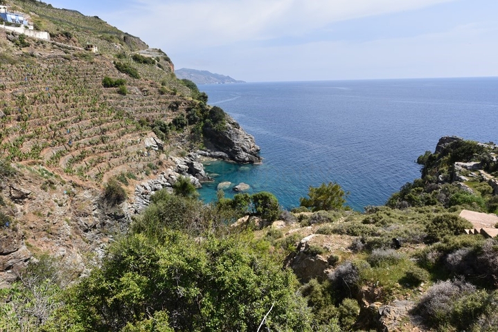 Земельный участок в районе Газипаша 