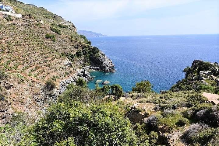 Земельный участок в районе Газипаша 