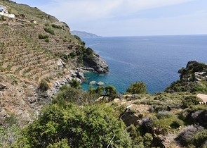 Земельный участок в районе Газипаша 