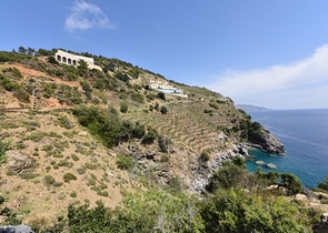 Земельный участок в районе Газипаша 