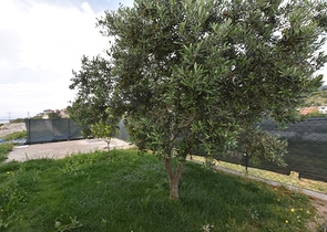 Отдельно стоящая вилла на берегу средиземного моря