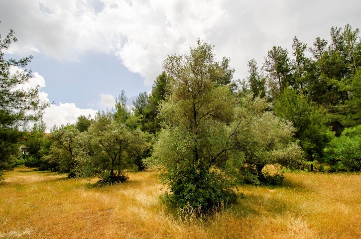 Отдельностоящая вилла 5+1 с бассейном в Ешилбахире  Анталья