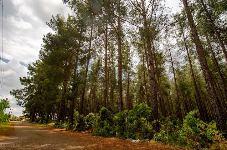 Отдельностоящая вилла 5+1 с бассейном в Ешилбахире  Анталья