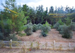 Отдельностоящая вилла 5+1 с бассейном в Ешилбахире  Анталья