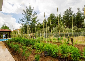 Отдельностоящая вилла 5+1 с бассейном в Ешилбахире  Анталья