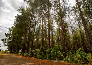 Отдельностоящая вилла 5+1 с бассейном в Ешилбахире  Анталья