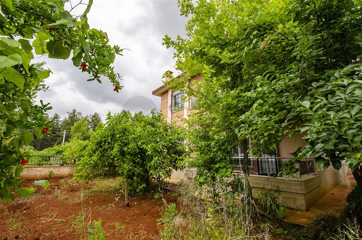 Частный дом в хвойном лесу в Дошемеальты Анталья