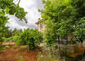 Частный дом в хвойном лесу в Дошемеальты Анталья