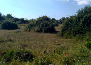 Продажа земельного участка в Дошемеальты Анталья