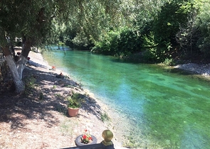 Двухкомнатная меблированная квартира на берегу горной реки