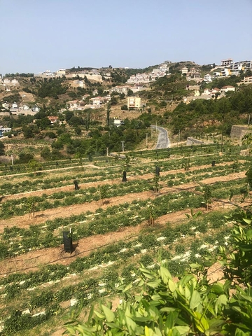 Виллы на этапе строительства в районе Каргыджак