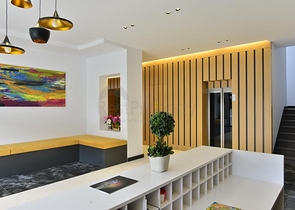 Меблированный пентхаус в районе Оба.