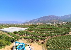 Пентхаус с видом на море в новом комплексе 