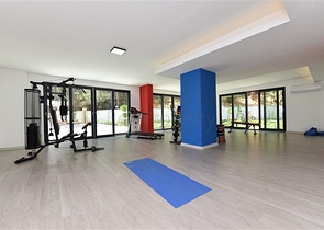 Уютная квартира в Авсалларе