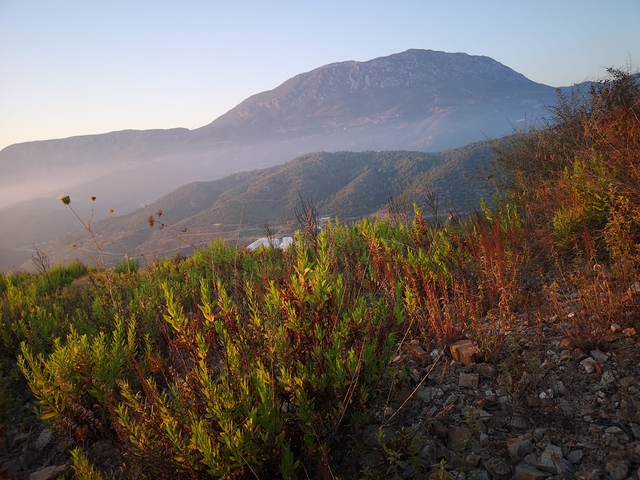 Земля в Каргыджаке