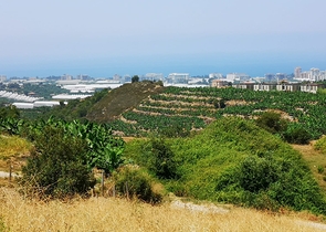 Земля в Каргыджаке