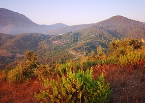 Земля в Каргыджаке