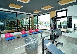 Меблированный пентхаус 3+1