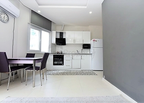 Меблированная квартира 1+1 в новом доме