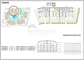 Новый инвестиционный проект в Обе