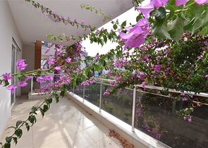 Квартиры различных планировок в готовом жилом комплексе