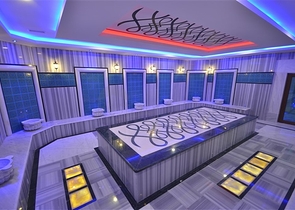 Меблированный дуплекс с большой террасой 2+1