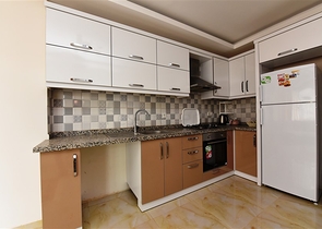 Меблированная квартира планировки 1+1