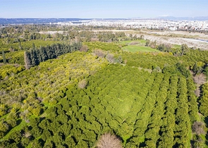 Квартира 2+1 с мебелью в комплексе отельного плана в Анталии