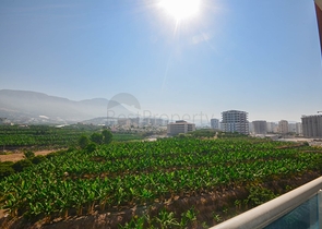 Меблированная квартира в районе Махмутлар