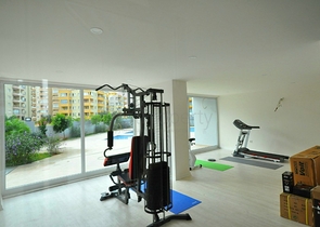 Меблированная квартира планировки 1+1