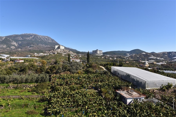 Меблированная квартира планировки 1+1