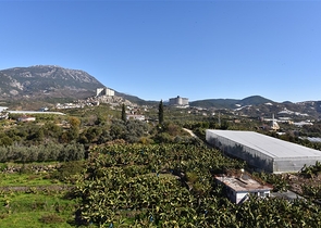 Меблированная квартира планировки 1+1