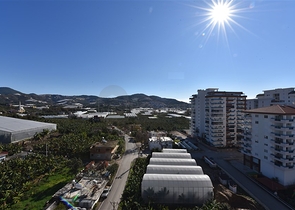 Меблированная квартира планировки 1+1